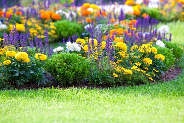 Flower Bed Maintenance in Lansdale