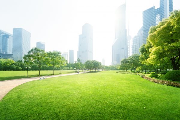 Commercial Landscape Maintenance in Lansdale
