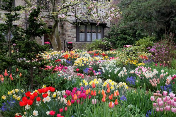 Garden Maintenance Service in Lansdale
