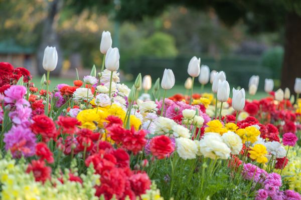 Gardening Service in Lansdale