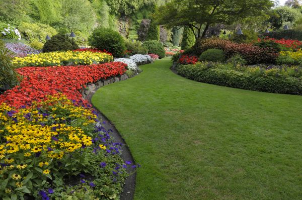 Landscaping Maintenance in Lansdale