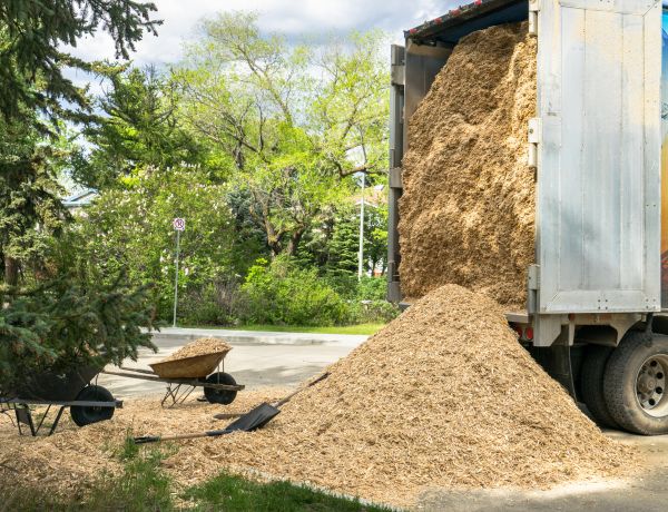 Wood Chips Delivery in Lansdale