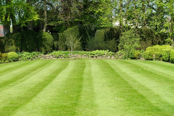 Lawn Renovation in Lansdale