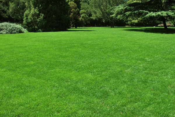 Lawn Landscaping in Lansdale