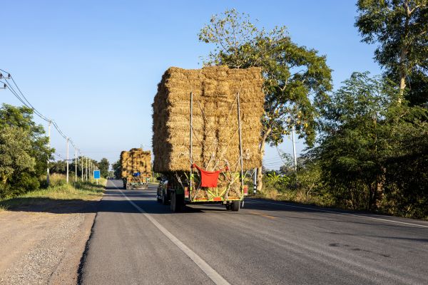 Pine Straw Delivery in Lansdale