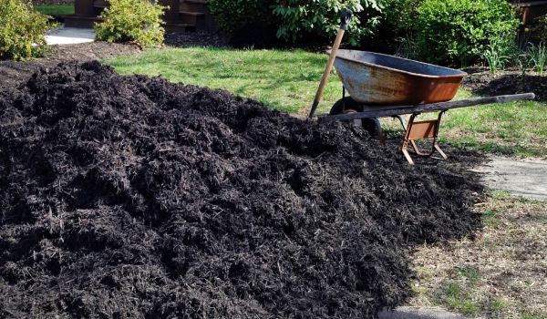 Black Mulch Delivery in Lansdale