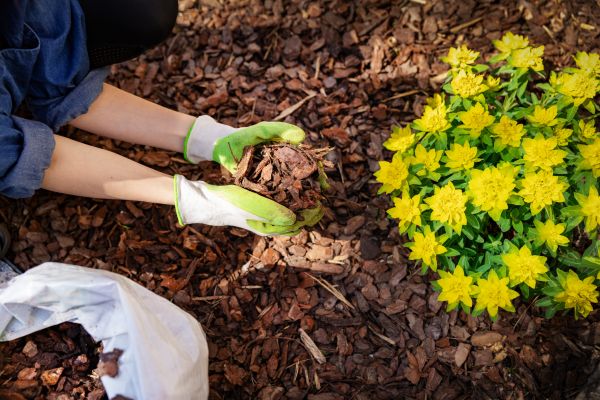 Garden Mulching in Lansdale