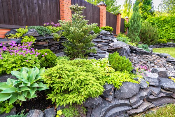 Landscape Remodeling in Lansdale