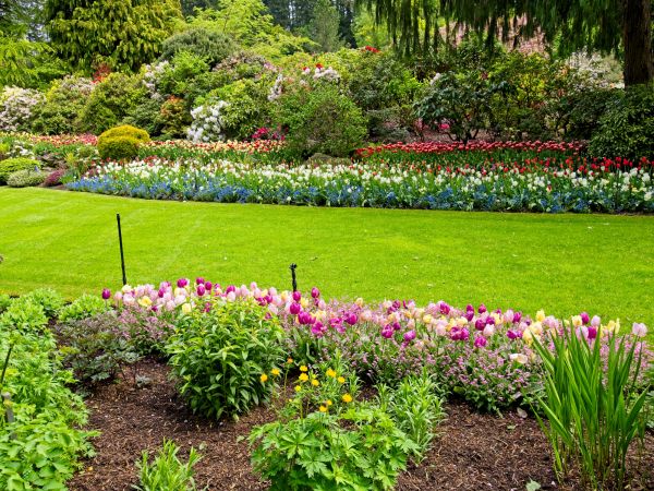 Residential Landscape Design in Lansdale