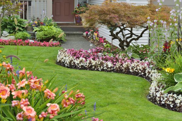 Perennial Landscaping in Lansdale