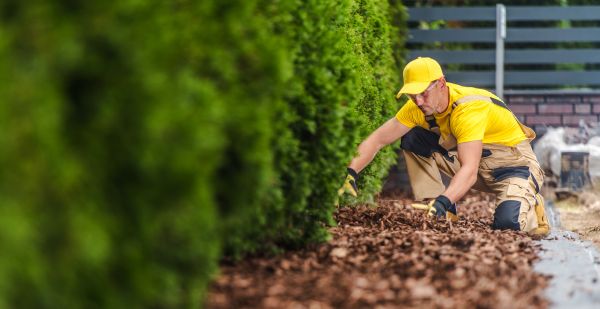 Cypress Mulch Installation in Lansdale