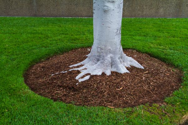 Brown Mulch Installation in Lansdale