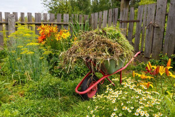 Garden Cleanup Service in Lansdale