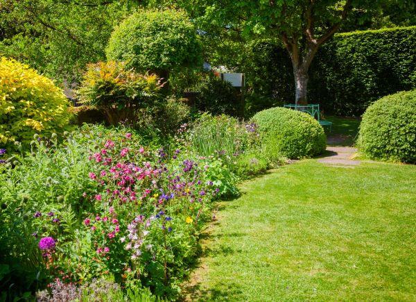 Yard Landscaping Service in Lansdale