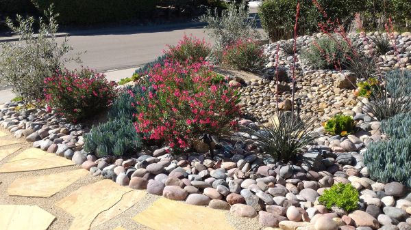 Xeriscape Landscaping in Lansdale