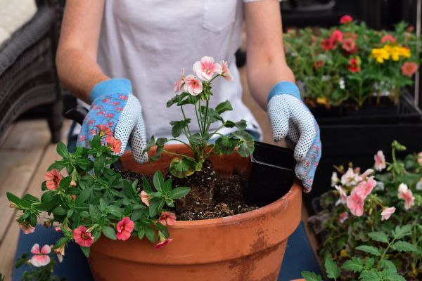 Plant Care Service in Lansdale