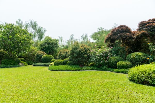 Tree Landscaping in Lansdale