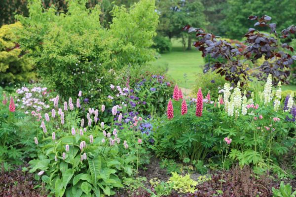 Flower Bed Planting in Lansdale