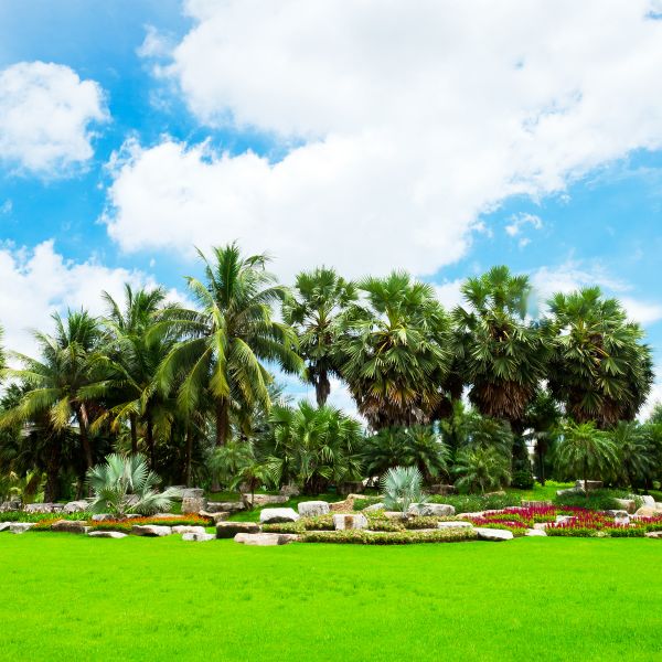 Tropical Landscaping in Lansdale