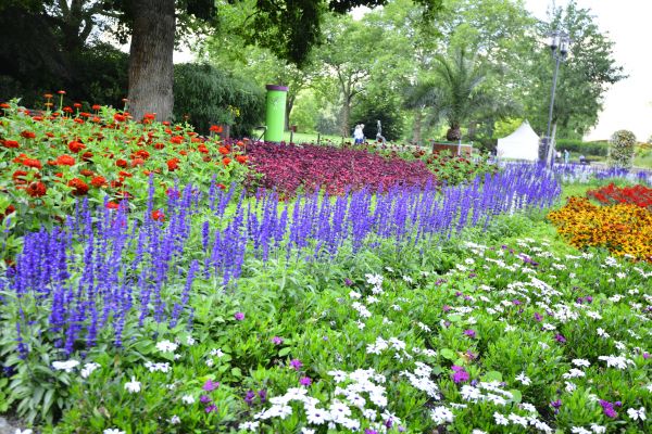 Perennials Planting in Lansdale