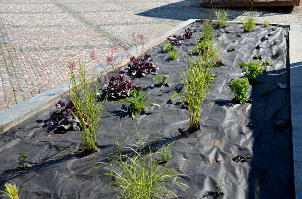 Landscape Fabric Installation in Lansdale