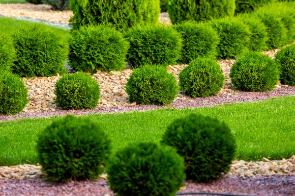 Bush Installation in Lansdale