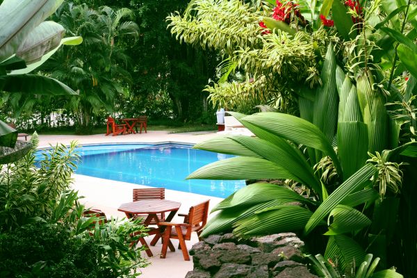 Pool Area Landscaping in Lansdale