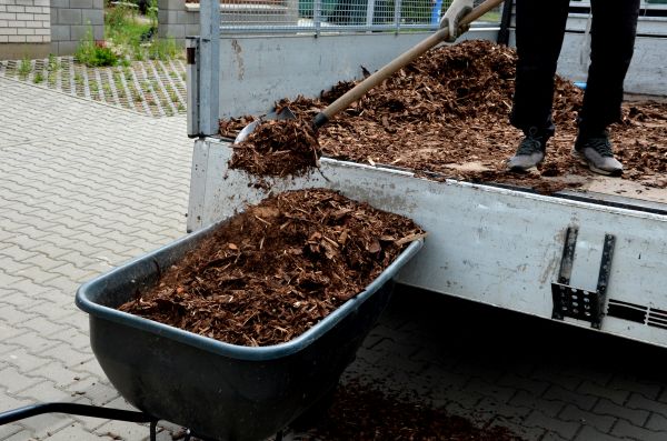 Playground Mulch Delivery in Lansdale