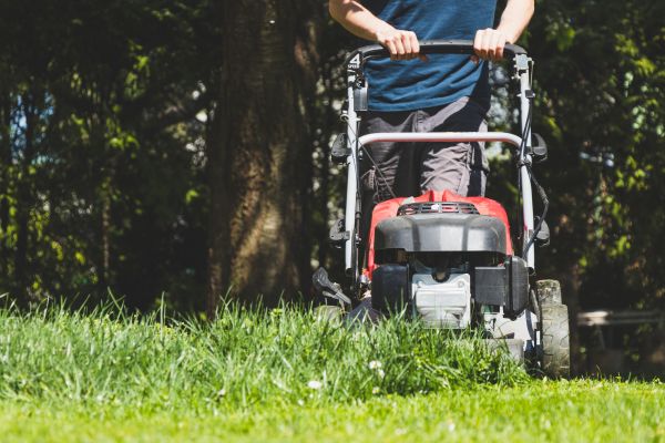 Garden Trimming Service in Lansdale