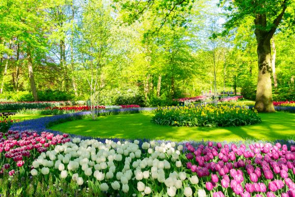 Flower Landscaping in Lansdale