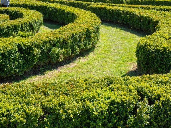 Bush Landscaping in Lansdale