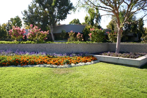 Commercial Landscape Service in Lansdale