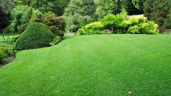 Commercial Landscape Design in Lansdale