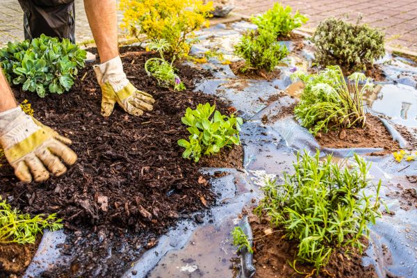 Mulch Fabric Installation in Lansdale