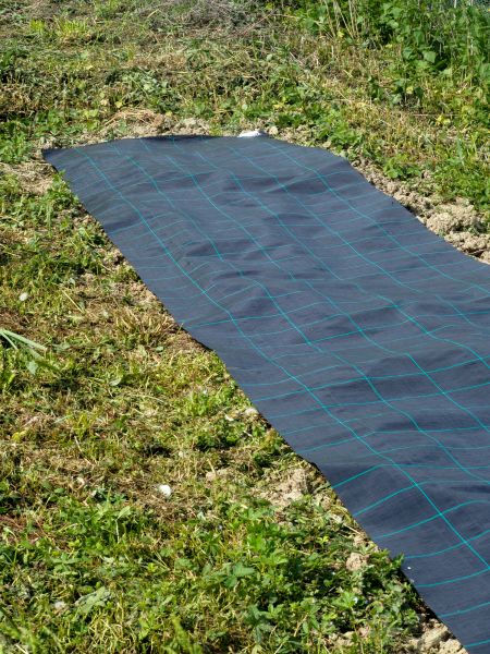 Weed Suppressant Installation in Lansdale