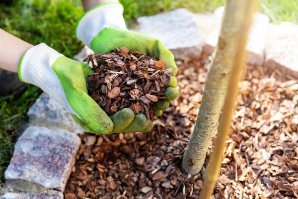 Tree Bark Delivery in Lansdale