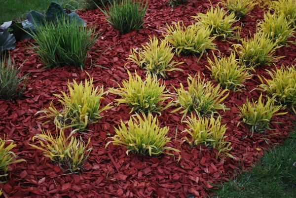 Red Mulch Installation in Lansdale