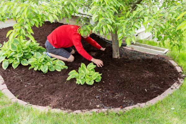 Mulch Layering