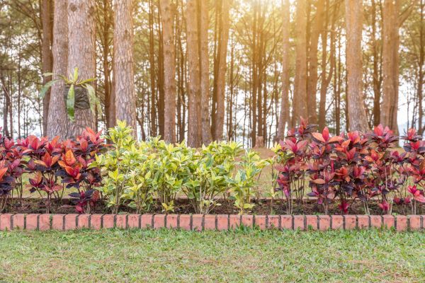 Small Garden Landscaping in Lansdale