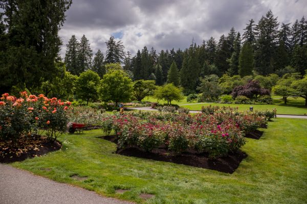 Flower Garden Landscaping in Lansdale