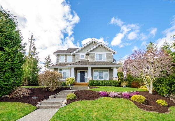 Landscaping Replacement in Lansdale