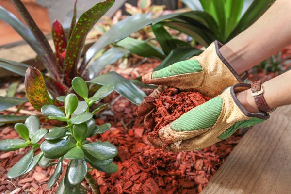 Cedar Mulch Installation in Lansdale