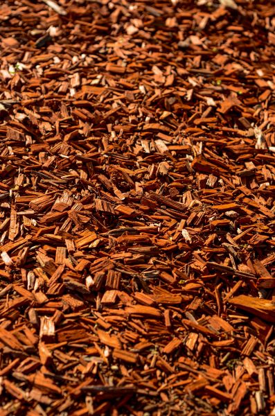 Cedar Mulch Spreading in Lansdale