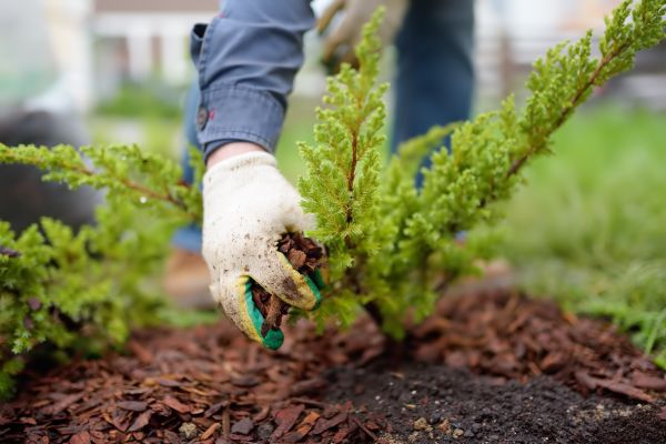 Church Mulching in Lansdale
