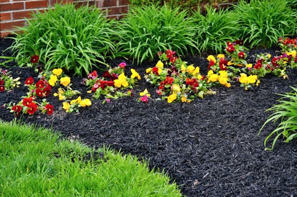 Apartment Mulching in Lansdale