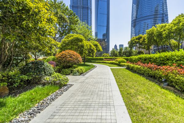 Commercial Landscaping in Lansdale