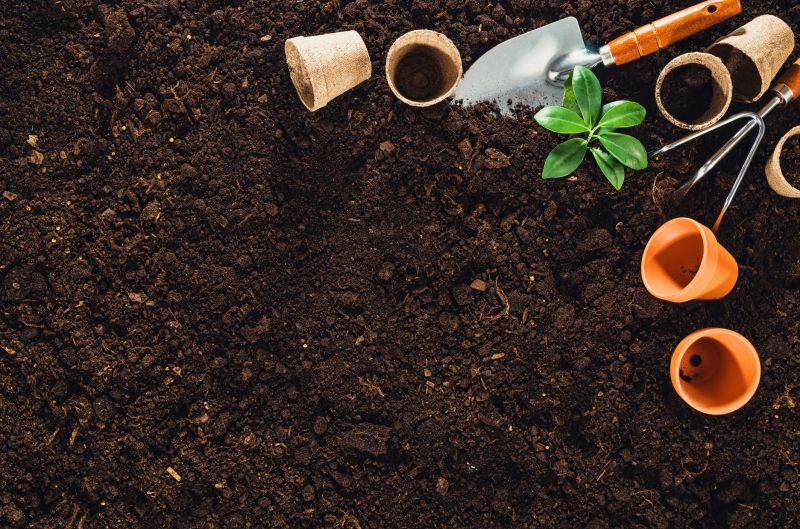 Home Gardening Service